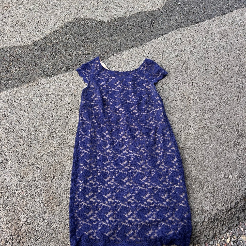 Dress Barn Blue Lace Dress